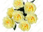 33 Роза Глория 33 Роза Глория