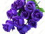 57 Молли 57 Молли