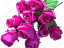 57 Молли 57 Молли