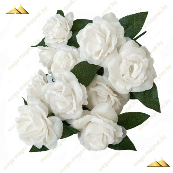 62 Роза Жаклин