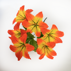 64 Лилия тигровая...