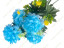 87 Роксана 87 Роксана