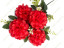 87 Роксана 87 Роксана