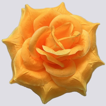 ГК 294 о Роза остролистная 15,5 см 6 слоев