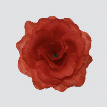 ГК 124 к Роза Кардинал