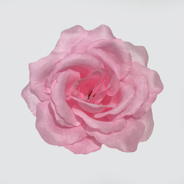 ГК 124 роз Роза Кардинал