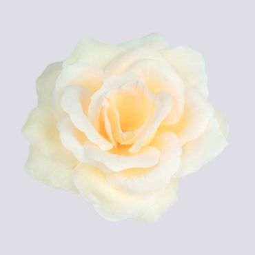 ГК 124 пудр Роза Кардинал