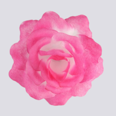 ГК 124  мал-бел Роза Кардинал