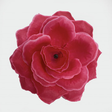 ГК 124 м Роза Кардинал