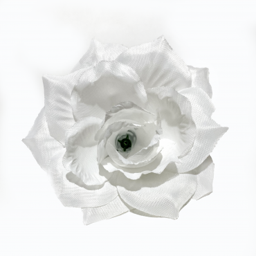 ГК 072 б  роза остролистная 13 см