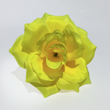 ГК 072 ж роза остролистная 13 см