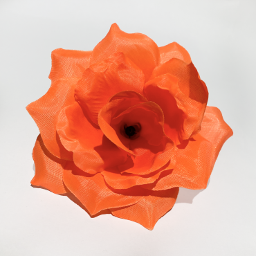 ГК 072  ор роза остролистная 13 см