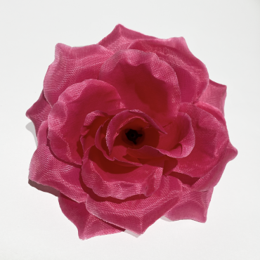 ГК 072 роза остролистная 13 см