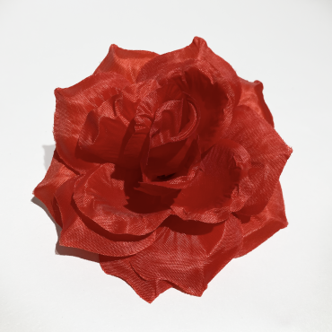 ГК 072 к роза остролистная 13 см