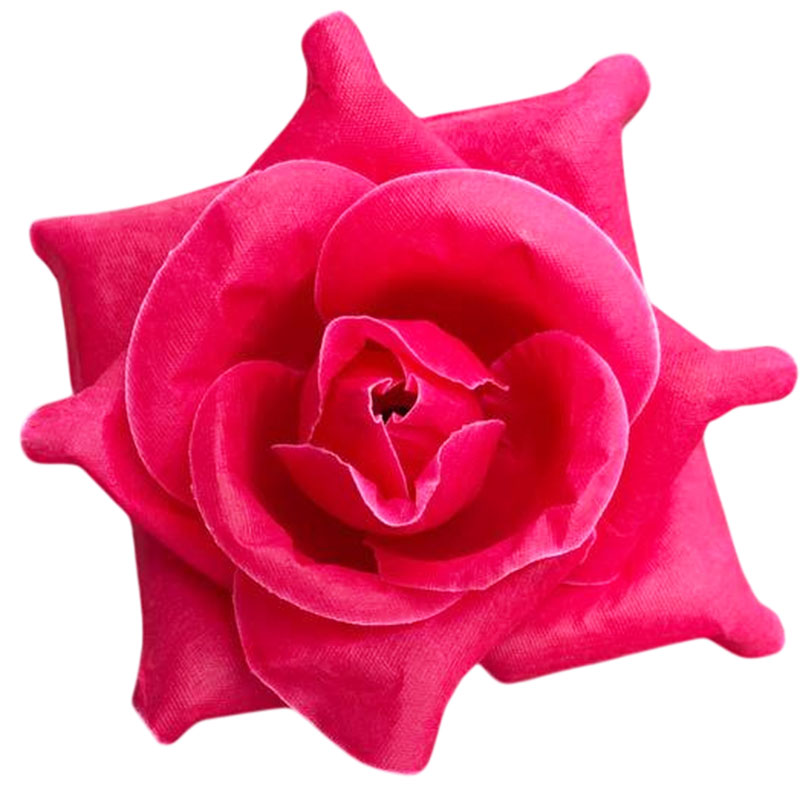 Г 007 мал Роза остролистная 11 см Г 007 мал Роза остролистная 11 см