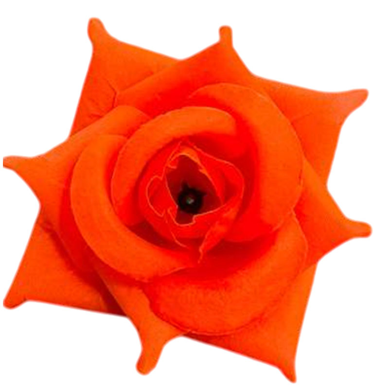 Г 007 ор Роза остролистная 11 см Г 007 ор Роза остролистная 11 см