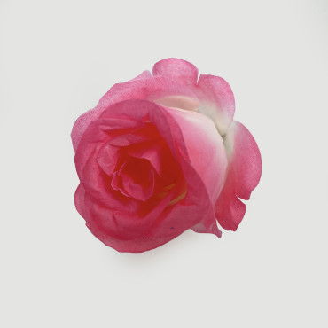 ГК 093-1 бел-мал Бутон розы раскрытый 8х8 см