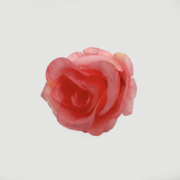 ГК 093-1 роз Бутон розы раскрытый 8х8 см