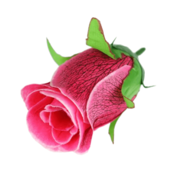 ГК 144 роз Бутон розы с принтом 10 см                                      