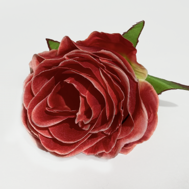 ГК 146 о Роза декоративная"Клементина" 10х10 см