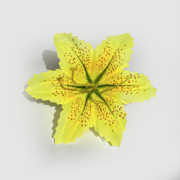 ГК 069 ж Лилия тигровая 13 см