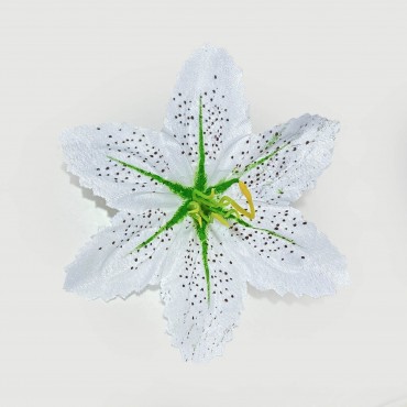 ГК 069 б Лилия тигровая 13 см