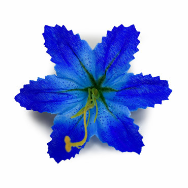 ГК 069 с Лилия тигровая 13 см