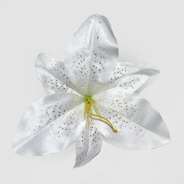 ГК 127 б Комплект лилии тигровой атласной 21 см                       