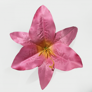 ГК 127 роз Комплект лилии тигровой атласной 21 см