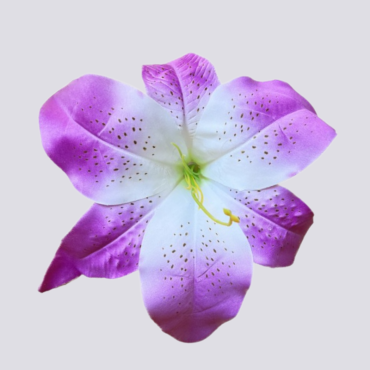 ГК 127 бел-фиол Комплект лилии тигровой атласной 21 см