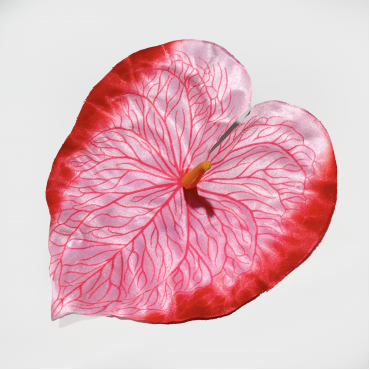 ГК 136 м Антуриум с принтом 13,5х15 см                                       