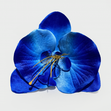 ГК 128 с Орхидея 12х10,5 см