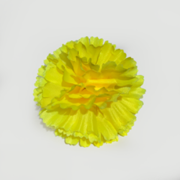 ГК 009 лимон Гвоздика 10 см