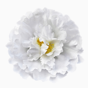 ГК 101-2 б Пион большой 17,5 см