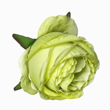 ГК 083 лайм Роза пионовидная шелк Джульетта 10х11 см