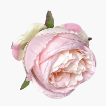 ГК 083 роз Роза пионовидная шелк Джульетта 10х11 см