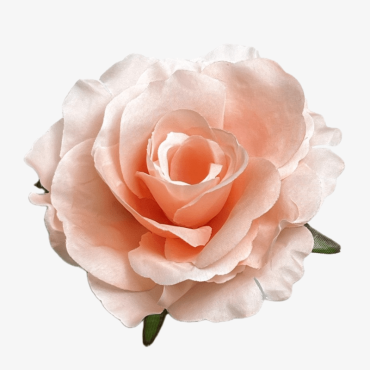 ГК 222 персик Роза чайная шелк 13,5 см 8 слоев