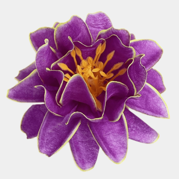 ГК 223 бургунд-ж Лотос декоративный 12,5 см