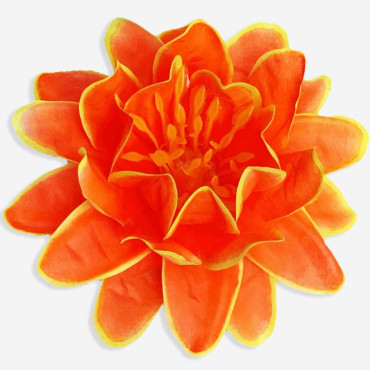 ГК 223 Лотос декоративный 12,5 см