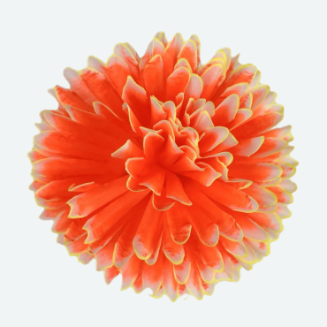 ГК 225 о Хризантема 13 см