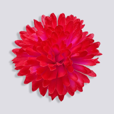 ГК 225 роз-к Хризантема 13 см