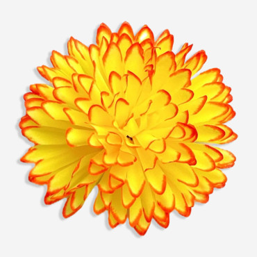 ГК 225 ж  Хризантема 13 см