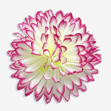 ГК 225 мол-м Хризантема 13 см