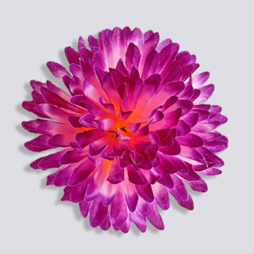 ГК 225 роз-бургунд Хризантема 13 см