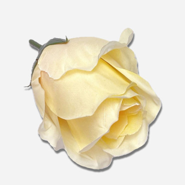 ГК 278 крем Роза бутон "Топаз" 8,5 см