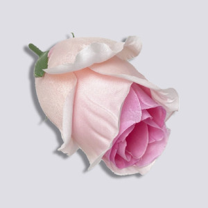 ГК 278 роз-мал Роза ...