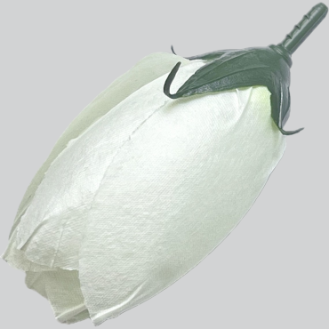 ГК 237 мол Тюльпан 8,5 см