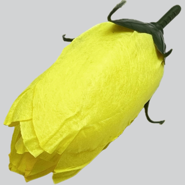 ГК 237 ж Тюльпан 8,5 см