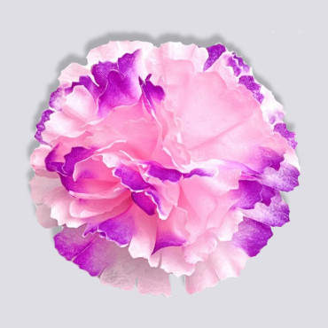 ГК 208 роз-бургунд Гвоздика 9 см