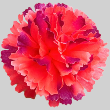 ГК 208 коралл-бургунд Гвоздика 9 см